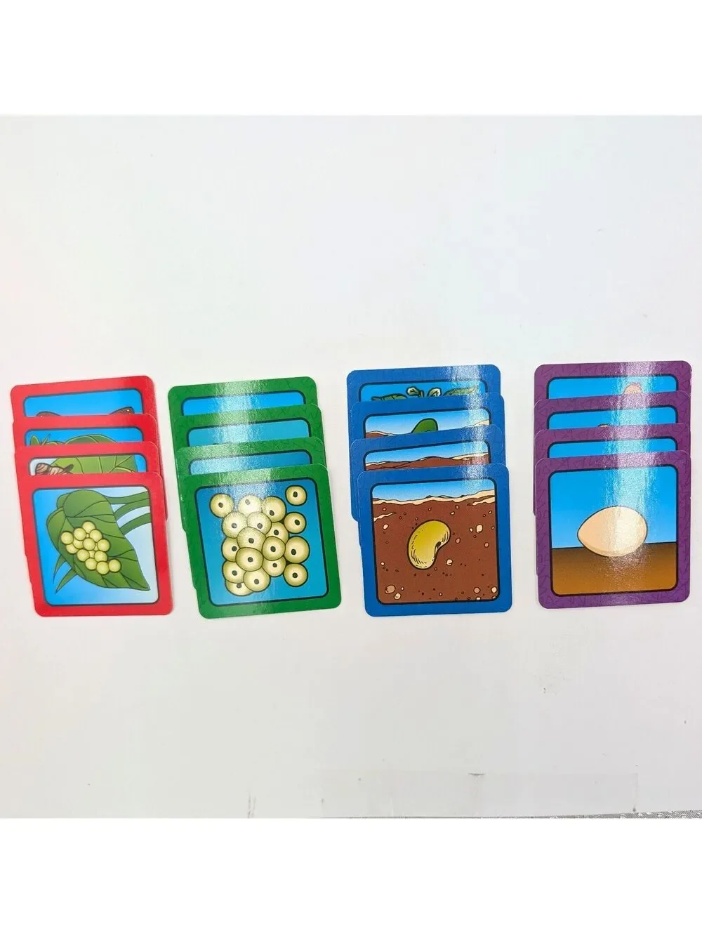 Lakeshore Life Cycles Science Learning Game Complete Homeschool Pre-K TT692